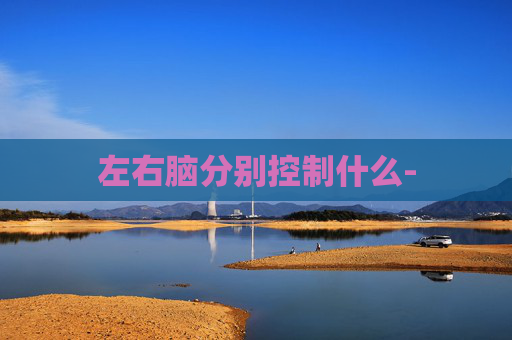 左右脑分别控制什么-