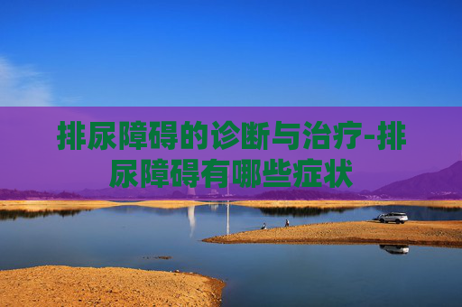 排尿障碍的诊断与治疗-排尿障碍有哪些症状