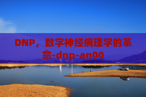 DNP，数字神经病理学的革命-dnp-an00