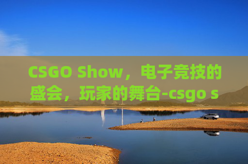 CSGO Show，电子竞技的盛会，玩家的舞台-csgo show fps