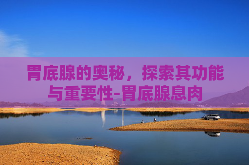胃底腺的奥秘，探索其功能与重要性-胃底腺息肉
