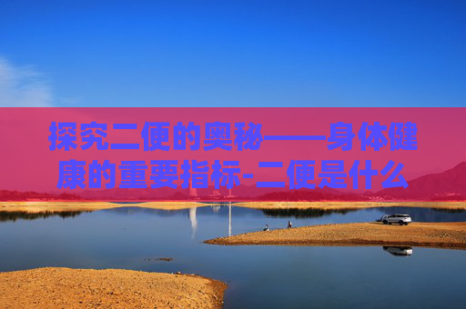 探究二便的奥秘——身体健康的重要指标-二便是什么意思
