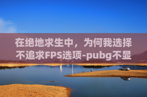在绝地求生中，为何我选择不追求FPS选项-pubg不显示fps了