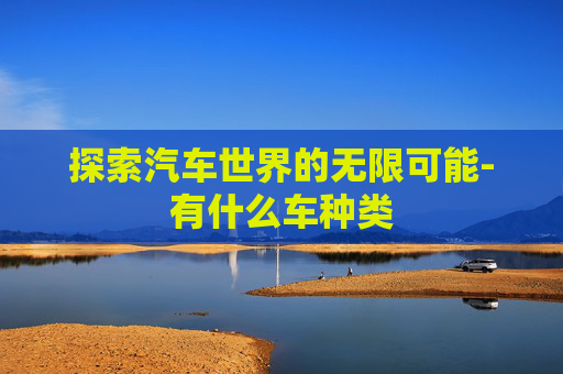 探索汽车世界的无限可能-有什么车种类