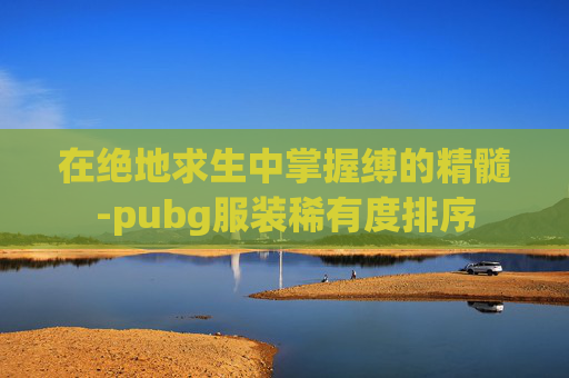 在绝地求生中掌握缚的精髓-pubg服装稀有度排序