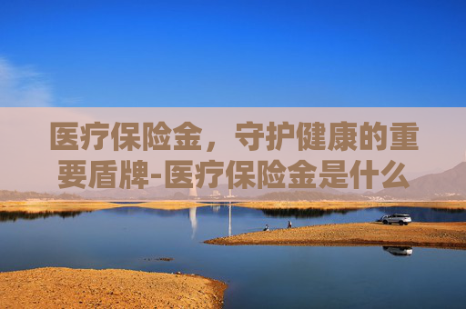 医疗保险金，守护健康的重要盾牌-医疗保险金是什么意思