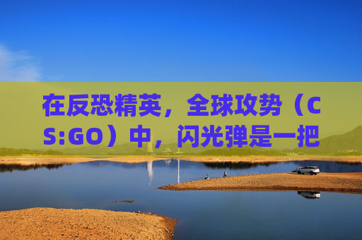 在反恐精英，全球攻势（CS:GO）中，闪光弹是一把双刃剑。它不仅能够为团队带来战术上的优势，同时也可能成为对手的噩梦。本文将深入探讨闪光弹在CS:GO中的使用技巧和策略，帮助你成为一名更加出色的玩家。-csgo皮肤枪文案