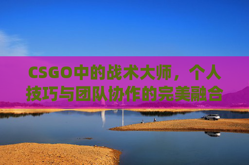 CSGO中的战术大师，个人技巧与团队协作的完美融合-csgo个人数据查询