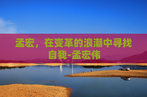 孟宏，在变革的浪潮中寻找自我-孟宏伟