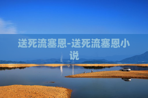 送死流塞恩-送死流塞恩小说