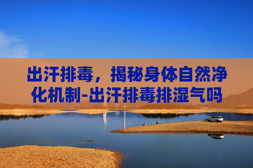 出汗排毒，揭秘身体自然净化机制-出汗排毒排湿气吗