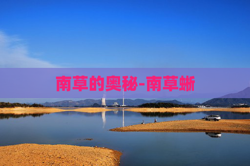 南草的奥秘-南草蜥