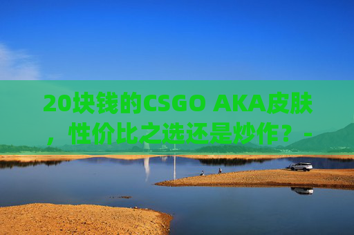 20块钱的CSGO AKA皮肤，性价比之选还是炒作？-csgo全部ak皮肤一览