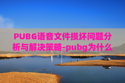 PUBG语音文件损坏问题分析与解决策略-pubg为什么一直有文件损坏