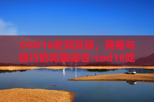 COD16吃鸡双排，策略与技巧的完美结合-cod16吃鸡模式什么时候出