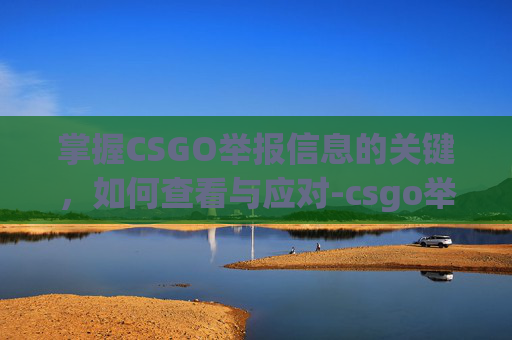 掌握CSGO举报信息的关键，如何查看与应对-csgo举报信息怎么看出来