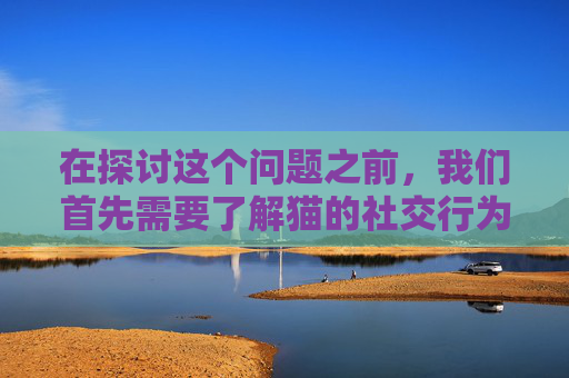 在探讨这个问题之前，我们首先需要了解猫的社交行为和认知能力。猫作为独立而敏感的动物，它们的行为模式和认知能力与人类有着显著的差异。因此，关于猫是否能够认人的问题，我们需要从多个角度来进行分析。-猫认人吗 知乎