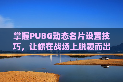 掌握PUBG动态名片设置技巧，让你在战场上脱颖而出-pubg名片怎么关显示
