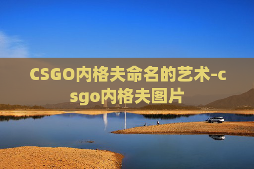 CSGO内格夫命名的艺术-csgo内格夫图片