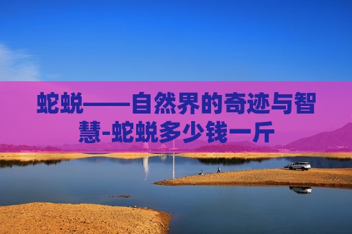 蛇蜕——自然界的奇迹与智慧-蛇蜕多少钱一斤