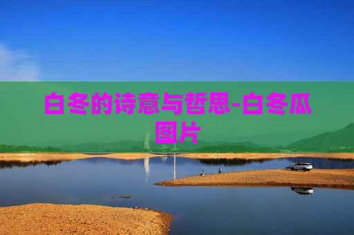 白冬的诗意与哲思-白冬瓜图片