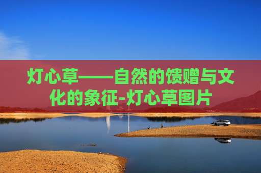 灯心草——自然的馈赠与文化的象征-灯心草图片 灯心草——自然的馈赠与文化的象征-灯心草图片