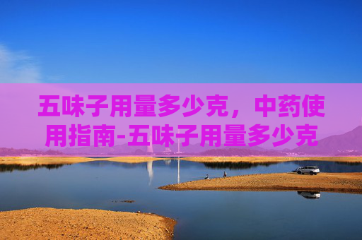五味子用量多少克，中药使用指南-五味子用量多少克最安全