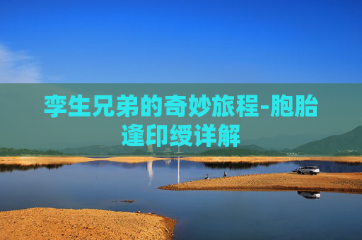 孪生兄弟的奇妙旅程-胞胎逢印绶详解