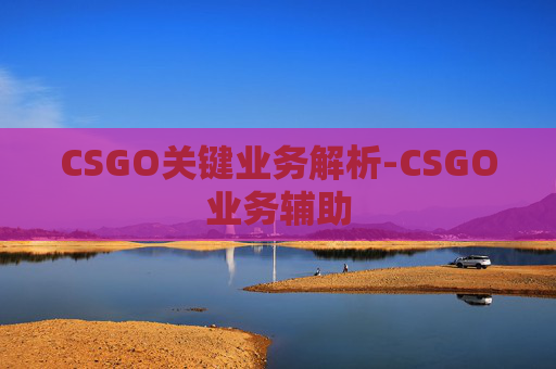 CSGO关键业务解析-CSGO业务辅助