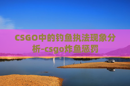 CSGO中的钓鱼执法现象分析-csgo炸鱼惩罚