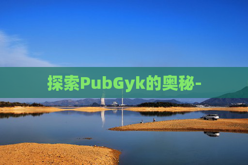 探索PubGyk的奥秘-