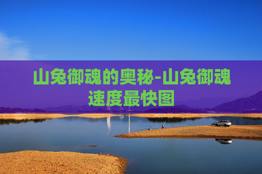 山兔御魂的奥秘-山兔御魂速度最快图