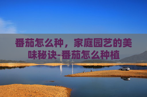 番茄怎么种，家庭园艺的美味秘诀-番茄怎么种植