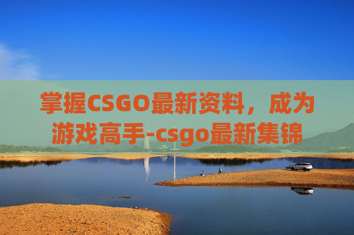 掌握CSGO最新资料，成为游戏高手-csgo最新集锦