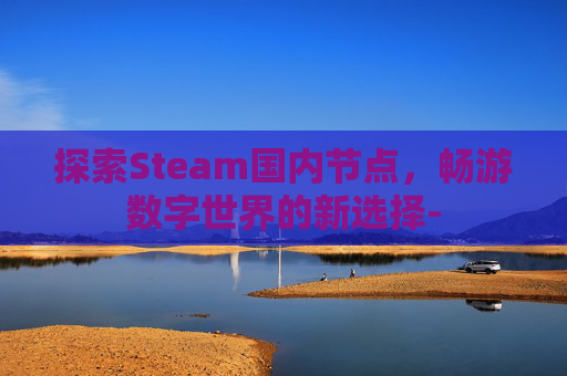 探索Steam国内节点，畅游数字世界的新选择-