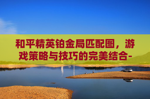 和平精英铂金局匹配图，游戏策略与技巧的完美结合-和平精英铂金局怎么玩