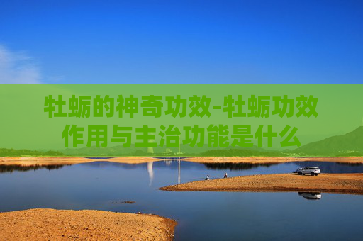 牡蛎的神奇功效-牡蛎功效作用与主治功能是什么
