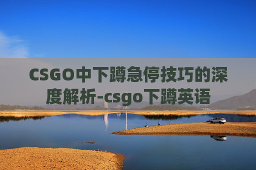 CSGO中下蹲急停技巧的深度解析-csgo下蹲英语