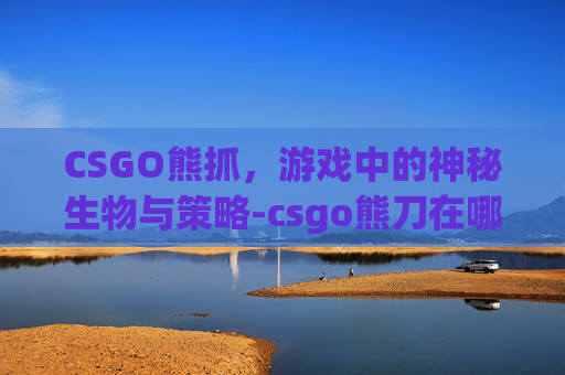 CSGO熊抓，游戏中的神秘生物与策略-csgo熊刀在哪开