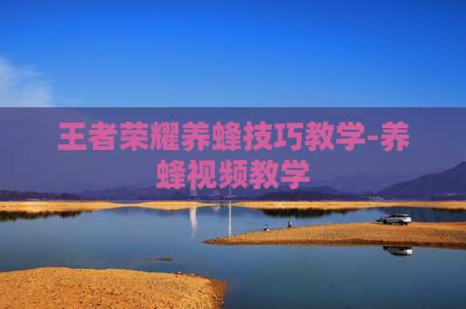 王者荣耀养蜂技巧教学-养蜂视频教学