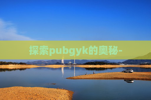 探索pubgyk的奥秘-