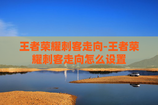 王者荣耀刺客走向-王者荣耀刺客走向怎么设置