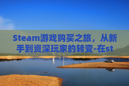 Steam游戏购买之旅，从新手到资深玩家的转变-在steam买的游戏不见了
