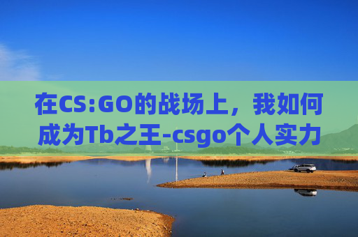 在CS:GO的战场上，我如何成为Tb之王-csgo个人实力排名