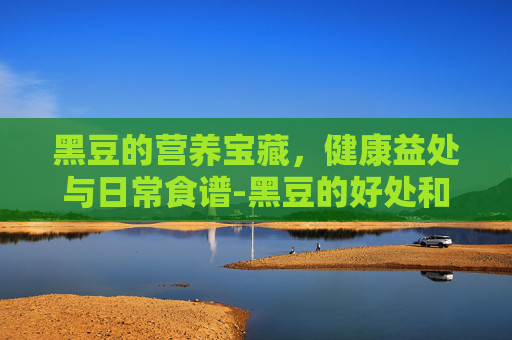 黑豆的营养宝藏，健康益处与日常食谱-黑豆的好处和功效有哪些