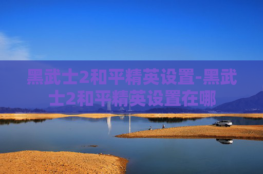 黑武士2和平精英设置-黑武士2和平精英设置在哪