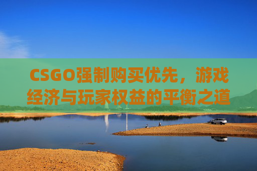 CSGO强制购买优先，游戏经济与玩家权益的平衡之道-csgo新版购买优先