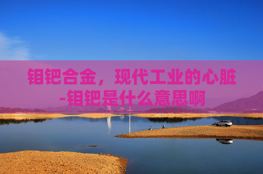 钼钯合金，现代工业的心脏-钼钯是什么意思啊