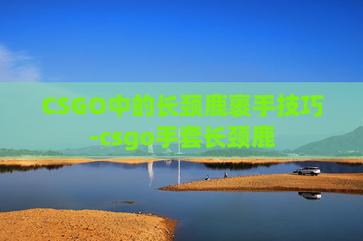 CSGO中的长颈鹿裹手技巧-csgo手套长颈鹿