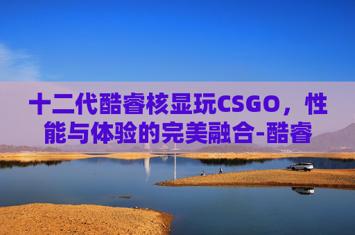 十二代酷睿核显玩CSGO，性能与体验的完美融合-酷睿12代 核显